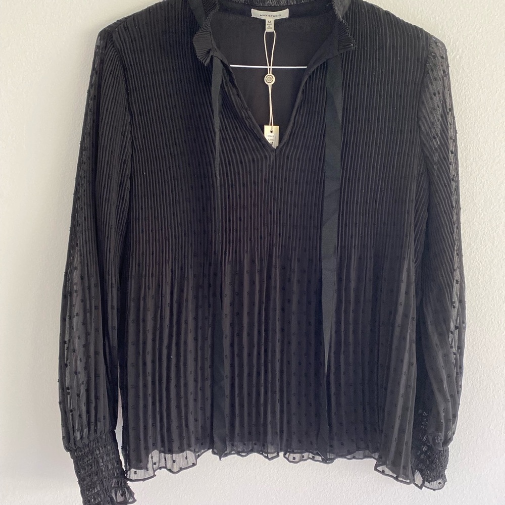 Black Sheer Blouse Max Studio
